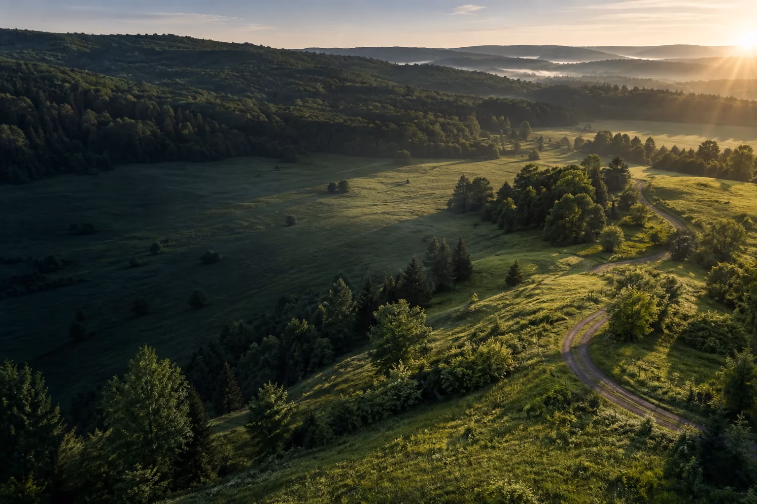 Morning light reveals the contours of open land and a winding field road.